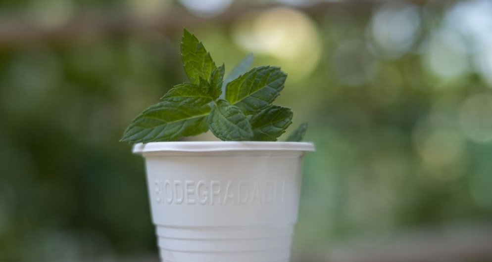 Plásticos biodegradáveis ​​e compostáveis