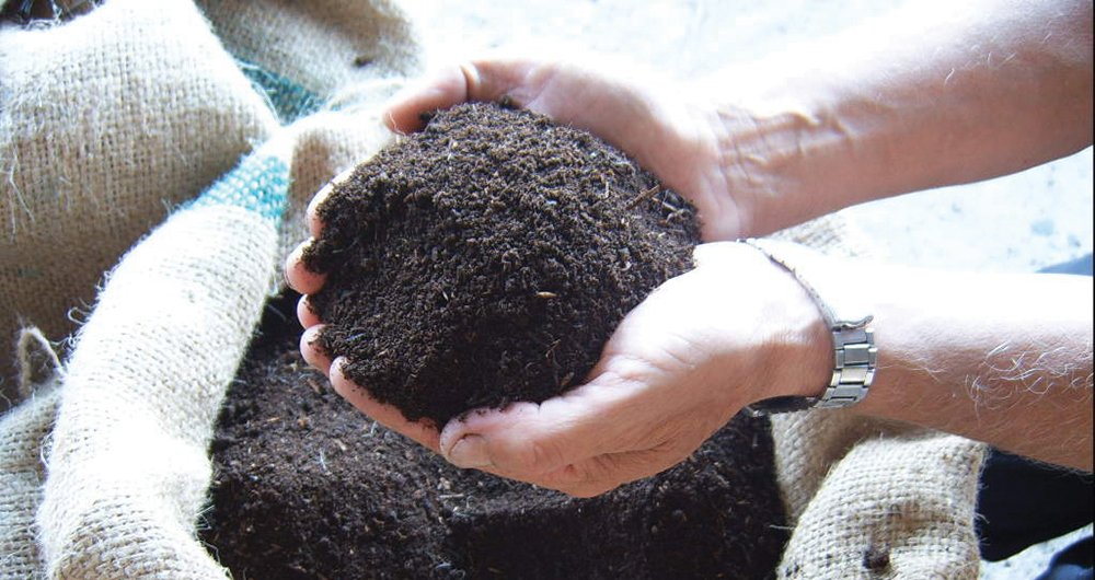 Projeto BG Eco: bioinstalações búlgaras