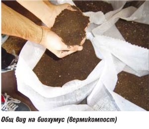 Biohumus para produção ecologicamente limpa